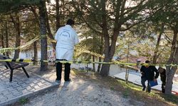 Parkta oyun oynayan iki çocuk bakın ne buldu