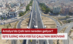 Antalya’da Çallı ismi nereden geliyor? İşte ilginç hikayesi ile Çallı’nın serüveni!