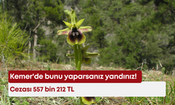 Kemer'de bunu yaparsanız yandınız! Cezası 557 bin 212 TL