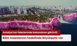 Antalya’nın falezlerinde kıskandıran görüntü: Bilim insanlarının hedefinde Büyükşehir var