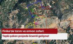 Finike’de tarım ve orman zaferi: Tepki çeken projede önemli gelişme!