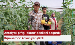 Antalyalı çiftçi 'olmaz' denileni başardı! Kışın serada kavun yetiştirdi