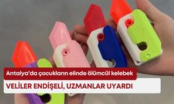 Antalya’da çocukların elinde ölümcül kelebek! Veliler endişeli, uzmanlar uyardı