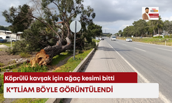 Köprülü kavşak için ağaç kesimi bitti,  katliam böyle görüntülendi