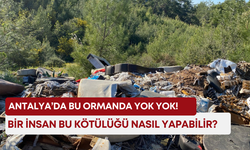 Antalya’da bu ormanda yok yok! Bir insan bu kötülüğü nasıl yapabilir?