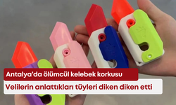 Antalya’da ölümcül kelebek korkusu: Velilerin anlattıkları tüyleri diken diken etti