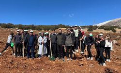 Antalya’da vatandaşlara ücretsiz fidan dağıtıldı