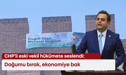 CHP’li eski vekil hükümete seslendi: Doğumu bırak, ekonomiye bak