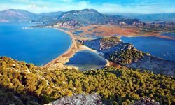 Muğla’da büyük heyecan! Nesli tükenmekte olan devler sahile ilk imzayı attı