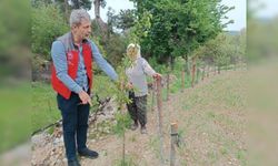 Menteşe'de tarımda kalite için sıkı denetim