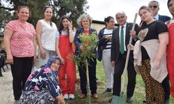Otizmli gençler ve lise öğrencilerinden anlamlı iş birliği