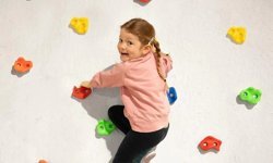 TIRMANMA DUVARINA MONTAJLI MAL ALIMI