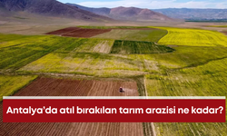Antalya’da atıl bırakılan tarım arazisi ne kadar?