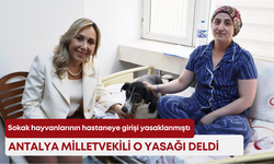 Sokak hayvanlarının hastaneye girişi yasaklanmıştı! Antalya Milletvekili o yasağı deldi!