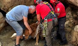 Fethiye'de AKUT ekibinden yürekleri ısıtan kurtarma çalışması