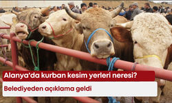 Alanya'da kurban kesim yerleri neresi? Belediyeden açıklama geldi
