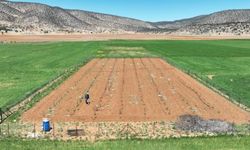 Kurak topraklar suya kavuştu, şehirden köye göç başladı
