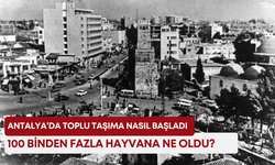 Antalya’da toplu taşıma nasıl başladı: 100 binden fazla hayvana ne oldu?