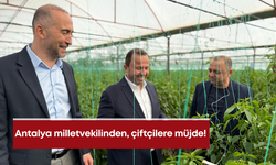 AK Parti Antalya milletvekilinden çiftçilere müjde!