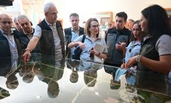 Ormancılık Çalıştayı Antalya’da devam ediyor… Çalıştayın gündemi orman yangınları