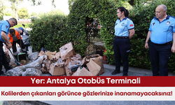 Antalya Otobüs Terminali’nde kolilerden çıkanları görünce gözlerinize inanamayacaksınız!
