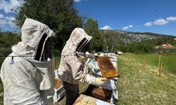 Antalyalı arıcılar yayla sezonuna hazırlanıyor