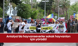 Antalya’da hayvanseverler sokak hayvanları için yürüdü!