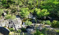 Antalya'da doğal alanlar alarm veriyor: Gökdere Vadisi ve Köprülü Kanyon tehdit altında