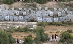 Mersin'de taşlı saldırı: Kovanlar devrildi, arılar havasız kaldı!