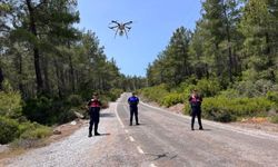 Bodrum’da orman yangınlarına karşı dronlu önlem