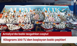 Antalya’da balık tezgahları coştu! Kilogramı 200 TL’den başlayan balık çeşitleri…