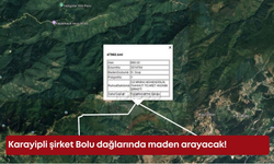 Karayipli şirket Bolu dağlarında maden arayacak!