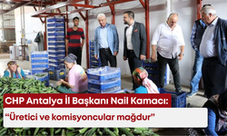 CHP Antalya İl Başkanı Nail Kamacı: “Üretici ve komisyoncular mağdur”
