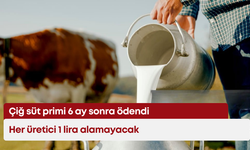 Çiğ süt primi 6 ay sonra ödendi: Her üretici 1 lira alamayacak