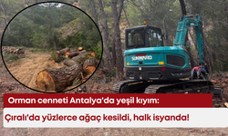 Orman cenneti Antalya'da yeşil kıyım: Çıralı'da yüzlerce ağaç kesildi, halk isyanda!