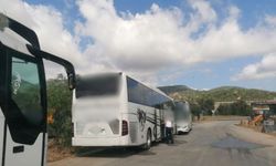 Bodrum'da çevreyi kirleten otobüslere af yok