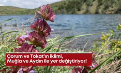 Çorum ve Tokat’ın iklimi, Muğla ve Aydın ile yer değiştiriyor!