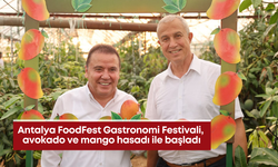 Antalya FoodFest Gastronomi Festivali, avokado ve mango hasadı ile başladı