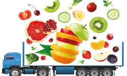 Tarım sektörünü buluşturan fuar: Interfresh Eurasia İzmir'de yapılacak