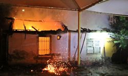 Gecekondu alev alev yandı, anne ve yavru kediler yangının içinde mi kaldı?