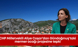 CHP Milletvekili Aliye Coşar’dan Gündoğmuş'taki mermer ocağı projesine tepki