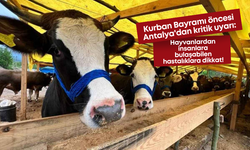 Kurban Bayramı öncesi Antalya'dan kritik uyarı: Hayvanlardan insanlara bulaşabilen hastalıklara dikkat!
