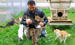 Antalya’da patili dostlarınız sizleri bekliyor! Ücretsiz sahiplenme sadece bu noktada