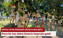 Antalya’da dilekler ağaçta buluştu! Para bir kez daha listenin başında geldi!