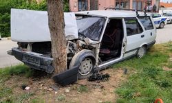Otomobil kontrolden çıktı, refüjdeki ağaca çarptı: 2 yaralı