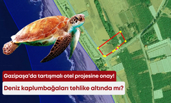 Gazipaşa’da tartışmalı otel projesine onay! Deniz kaplumbağaları tehlike altında mı?