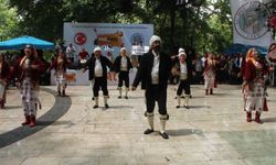 Mersin Mut'ta kayısı festivali yoğun katılımla başladı!