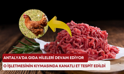 Antalya’da gıda hileleri devam ediyor! O işletmesinin kıymasında kanatlı et tespit edildi