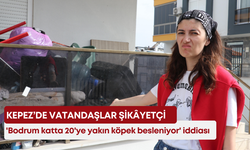Kepez’de vatandaşlar şikâyetçi! 'Bodrum katta 20'ye yakın köpek besleniyor' iddiası