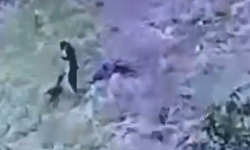 Antalya’da inanılmaz olay: Köpek saldırısından şans eseri kurtuldu